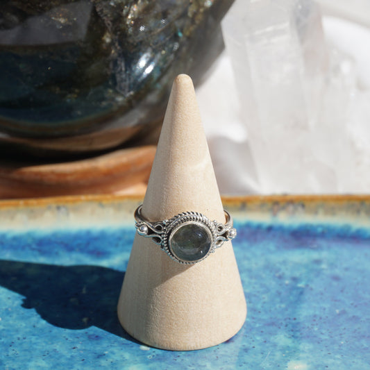 Ring Java