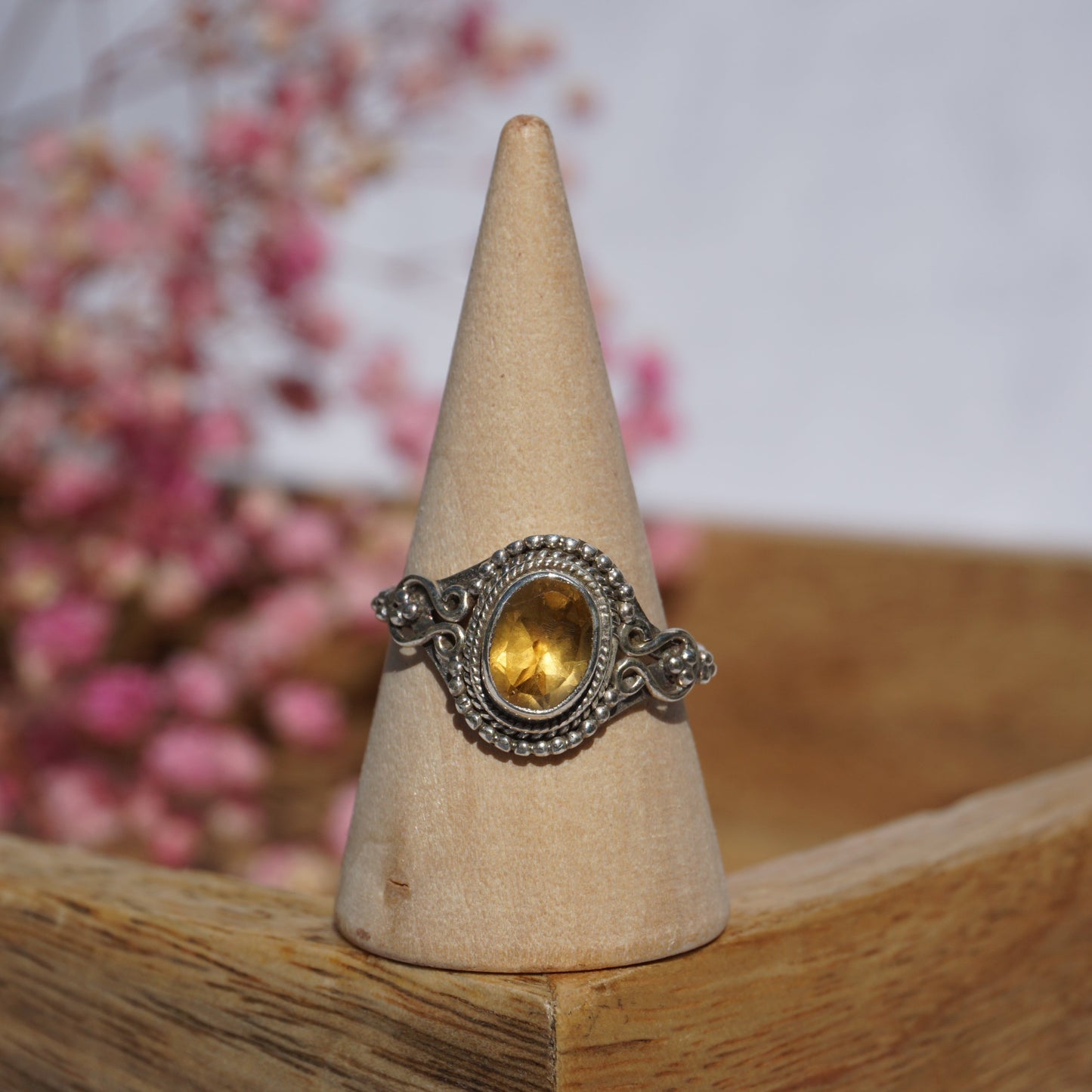 Ring Mumbai