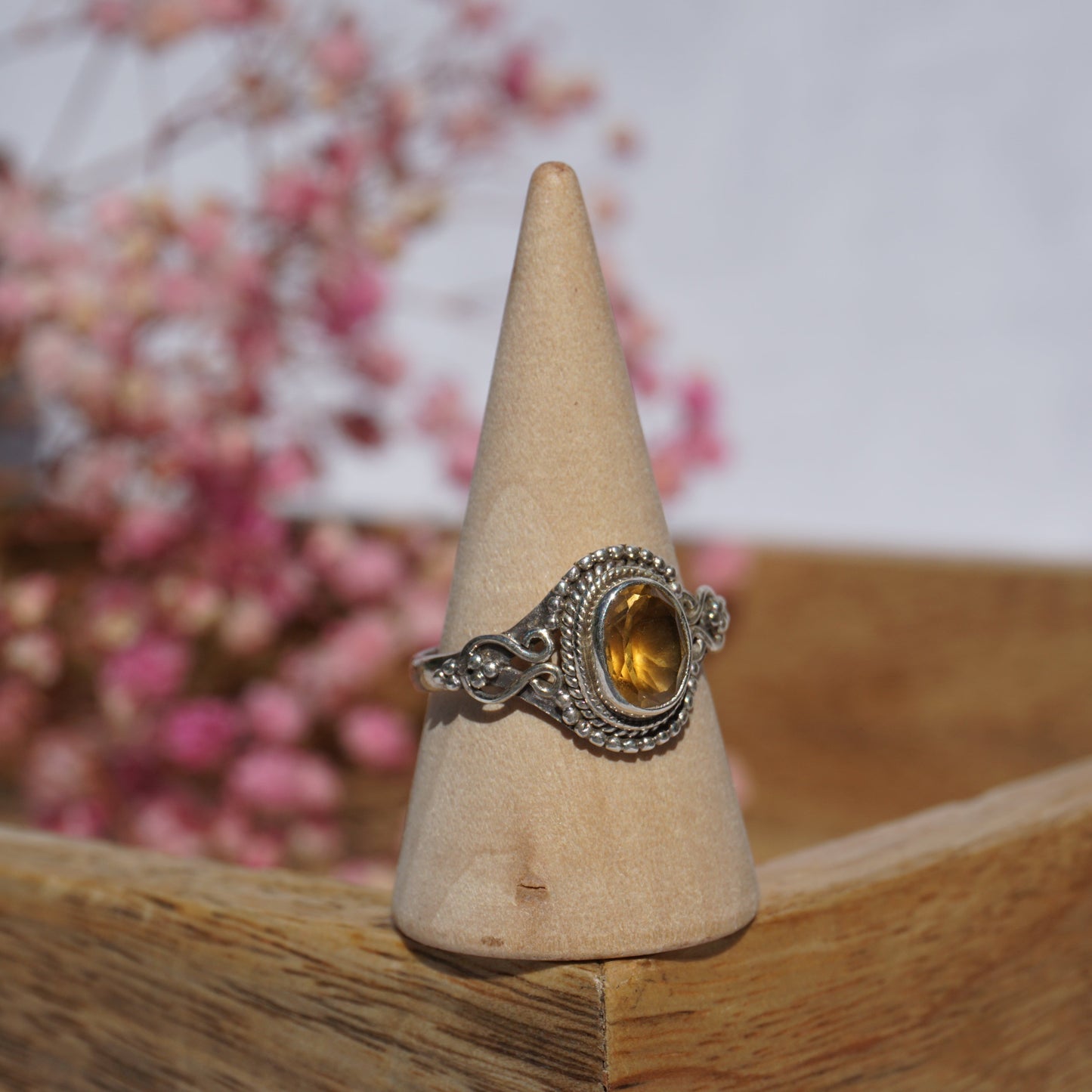 Ring Mumbai
