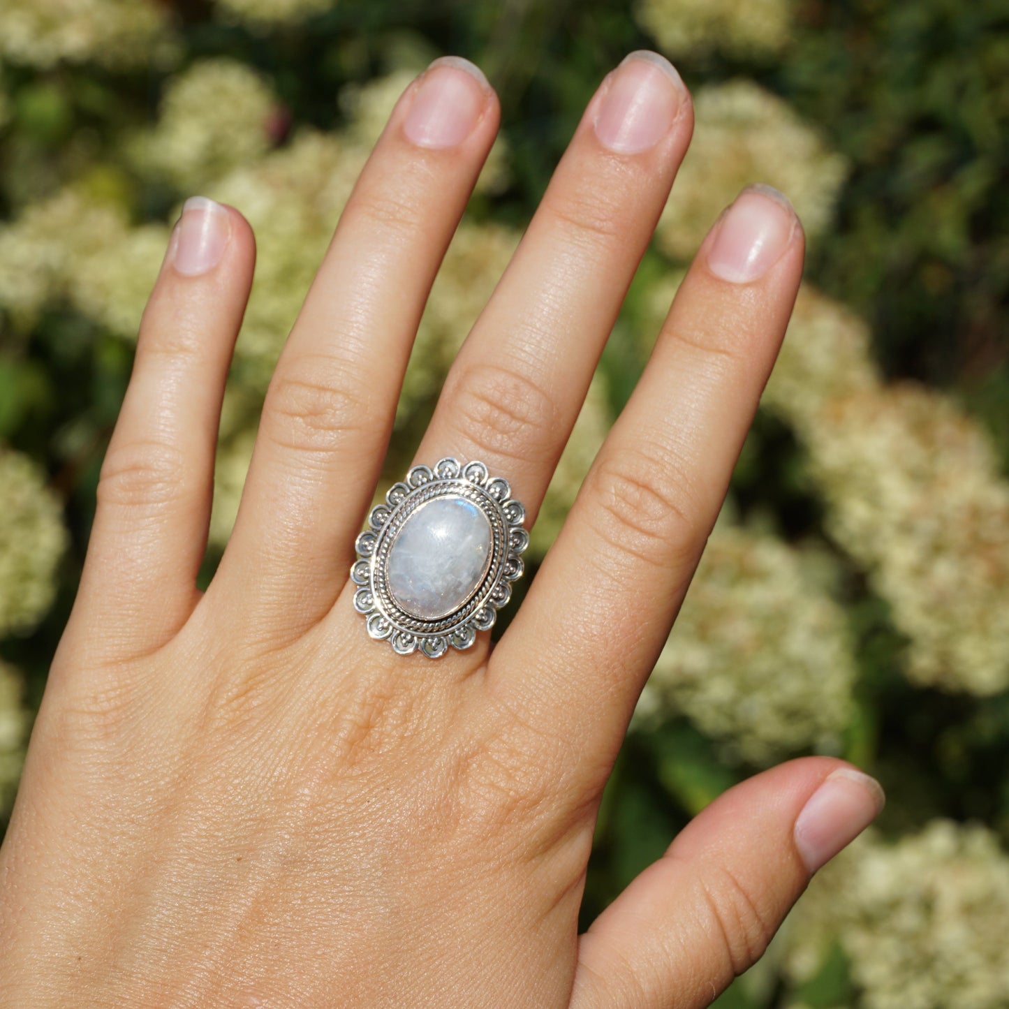 Ring Chicago