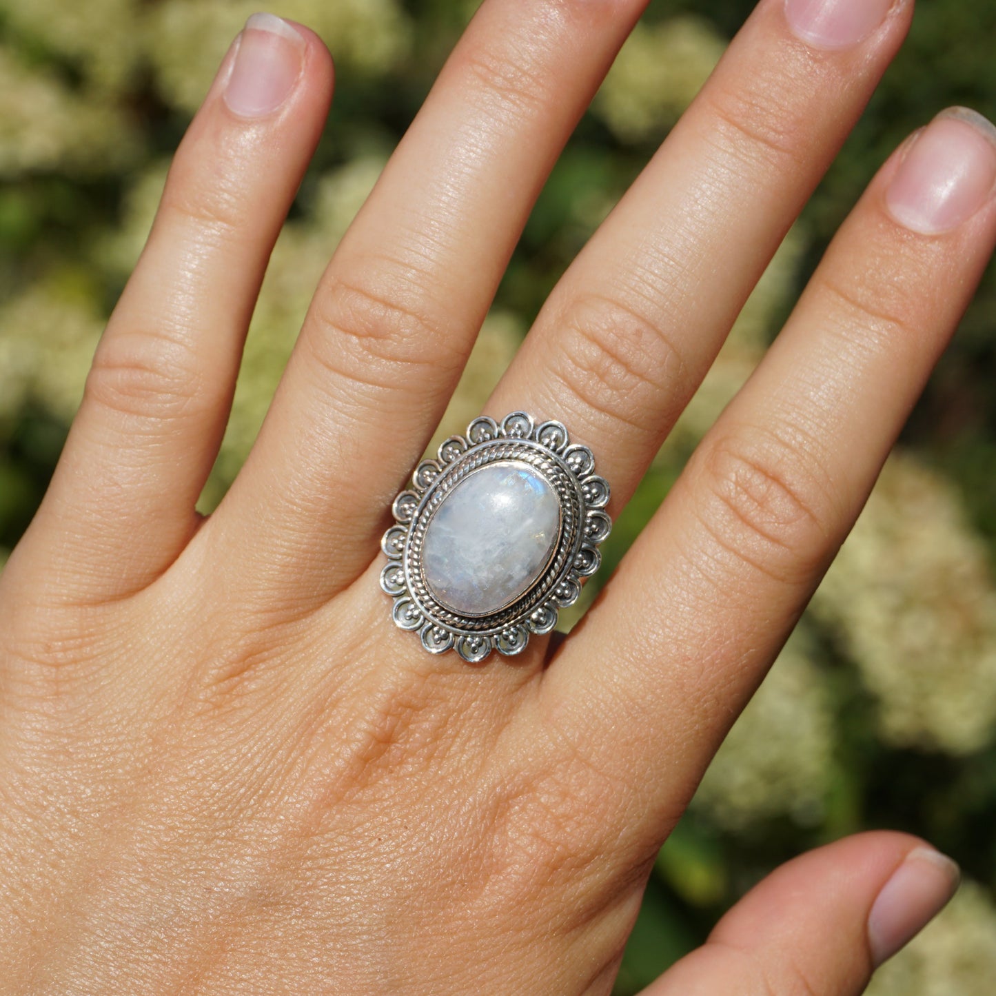Ring Chicago