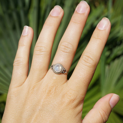 Ring Köln