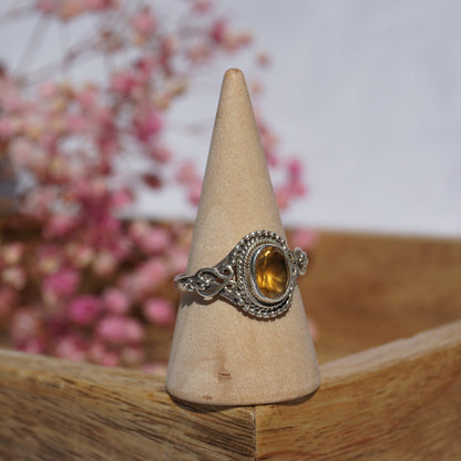 Ring Mumbai