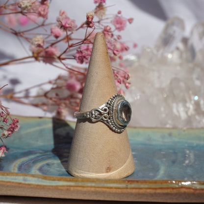 Ring Mumbai